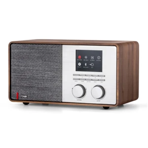 Pinell Supersound 301 Hybride radio Bruin