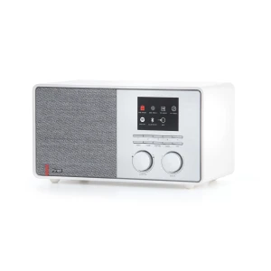 Pinell Supersound 301 Hybride radio Wit