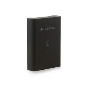 Bluesound Pulse Flex Battery Pack Wit