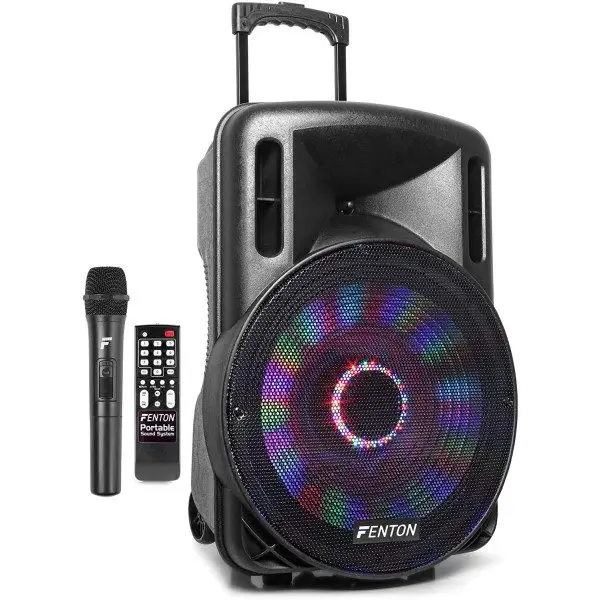 Fenton ft15led karaoke speaker 800w 15" met led verlichting