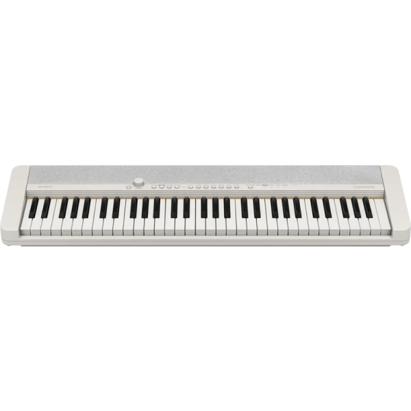 Casio ct s1 wit