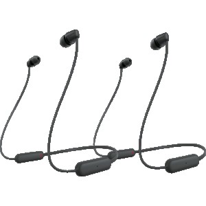 Sony WI-C100 Zwart Duopack